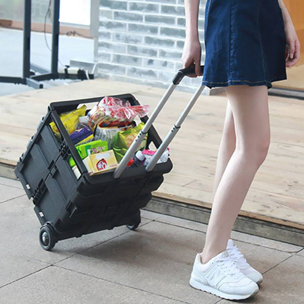 Car Trunk Organizer